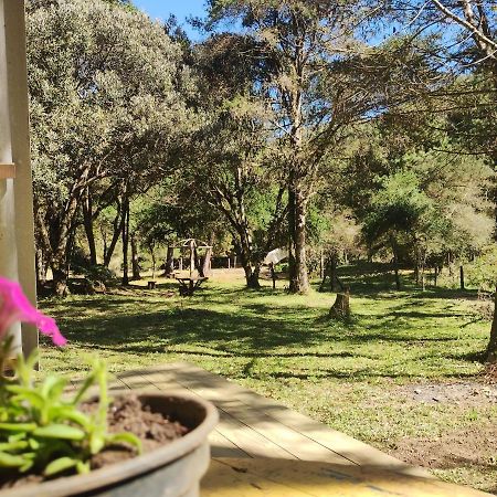 فيلا Sitio Flor Da Montanha ساو بينتو دو سابوكاي المظهر الخارجي الصورة