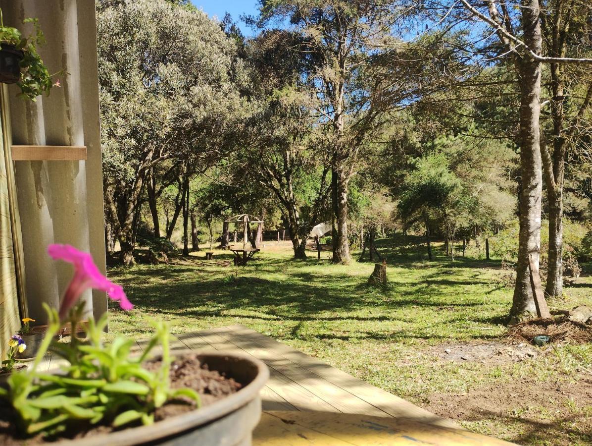 فيلا Sitio Flor Da Montanha ساو بينتو دو سابوكاي المظهر الخارجي الصورة